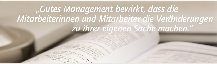 Organisationsentwicklung